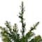 4' Pre-Lit Northern Pine Full Artificial Christmas Tree - Clear Lights